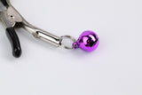Bell Nipple Clamps