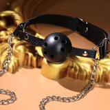 Bondage Nipple Clamp & Ball Gag Set — SM Tease & Restraint Toy
